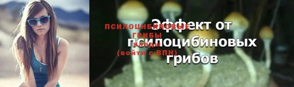 бошки Аркадак
