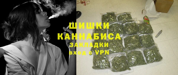 PSILOCYBIN Армянск